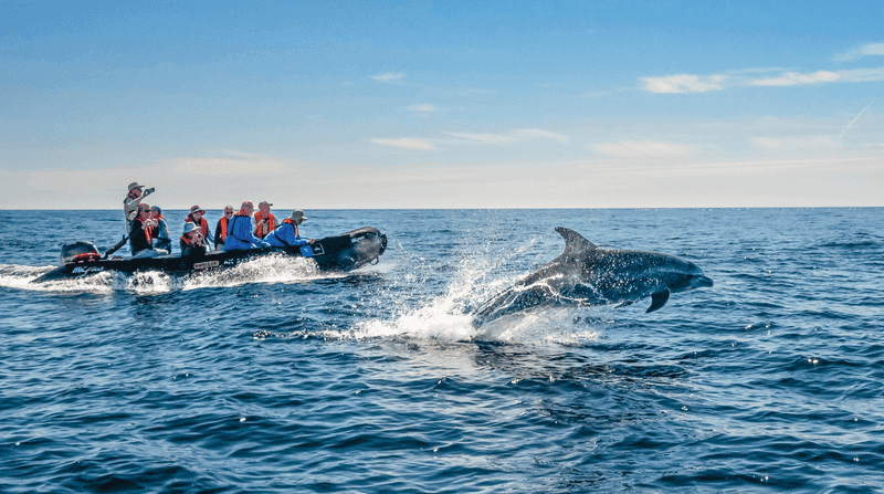 Baja California thumbnail image