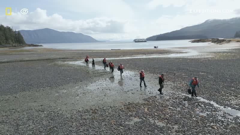 What to Expect: Exploring Southeast Alaska in Summer - Video