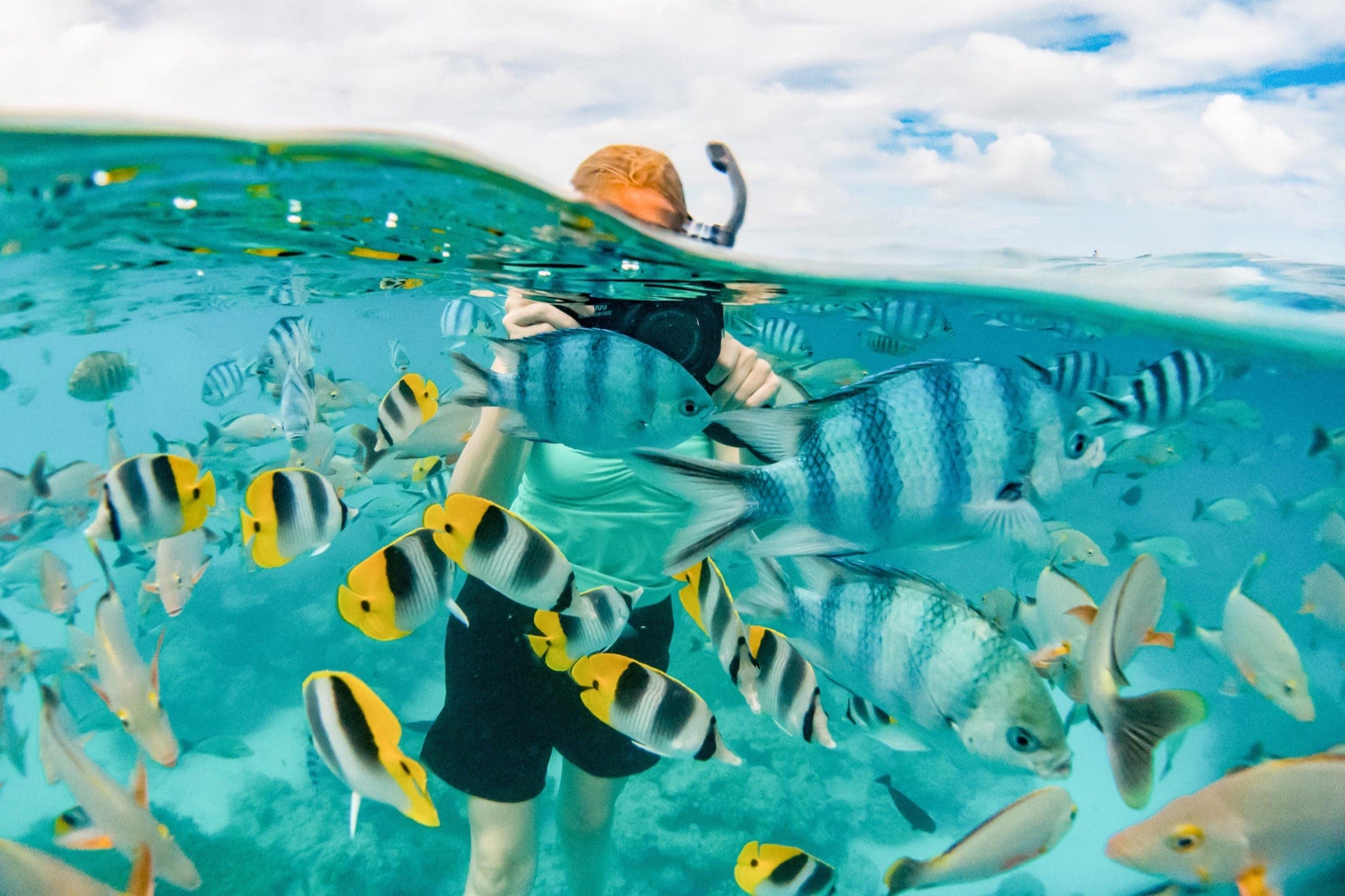 Mike Greenfleder_SP400.jpg