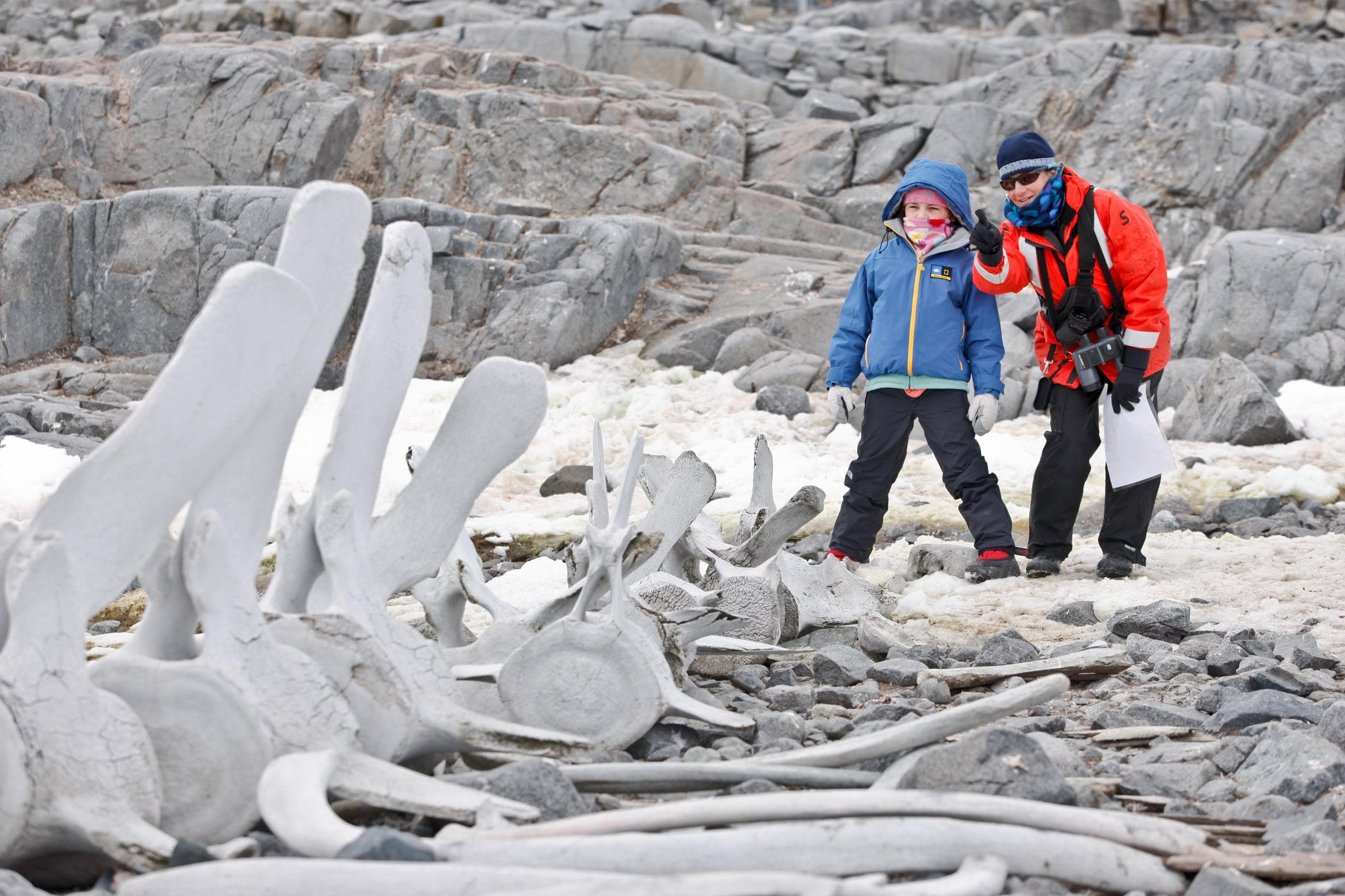 Hero Image 295585_1505.jpg