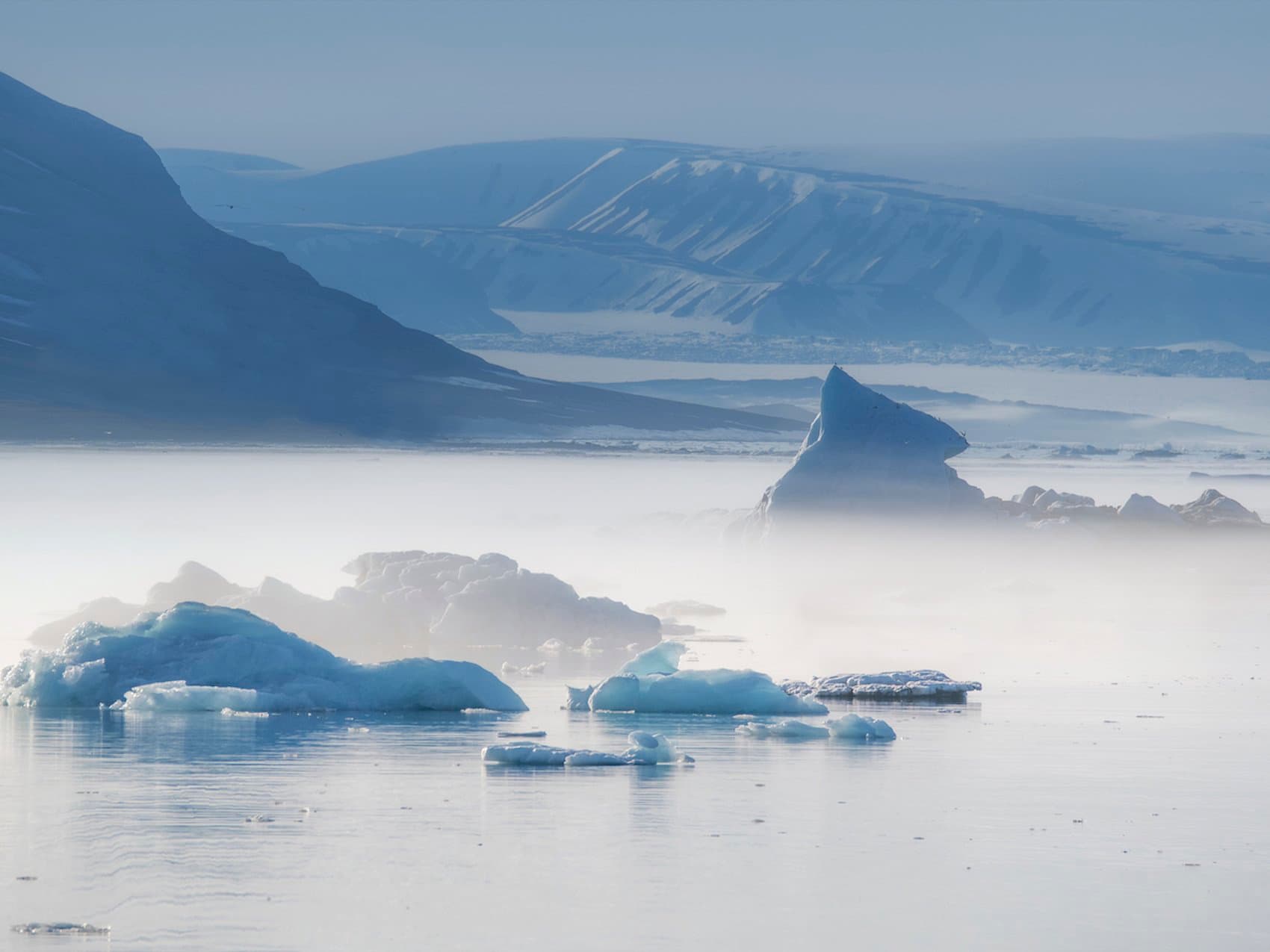 Hero Image Arctic Vs Antarctica Header.jpeg