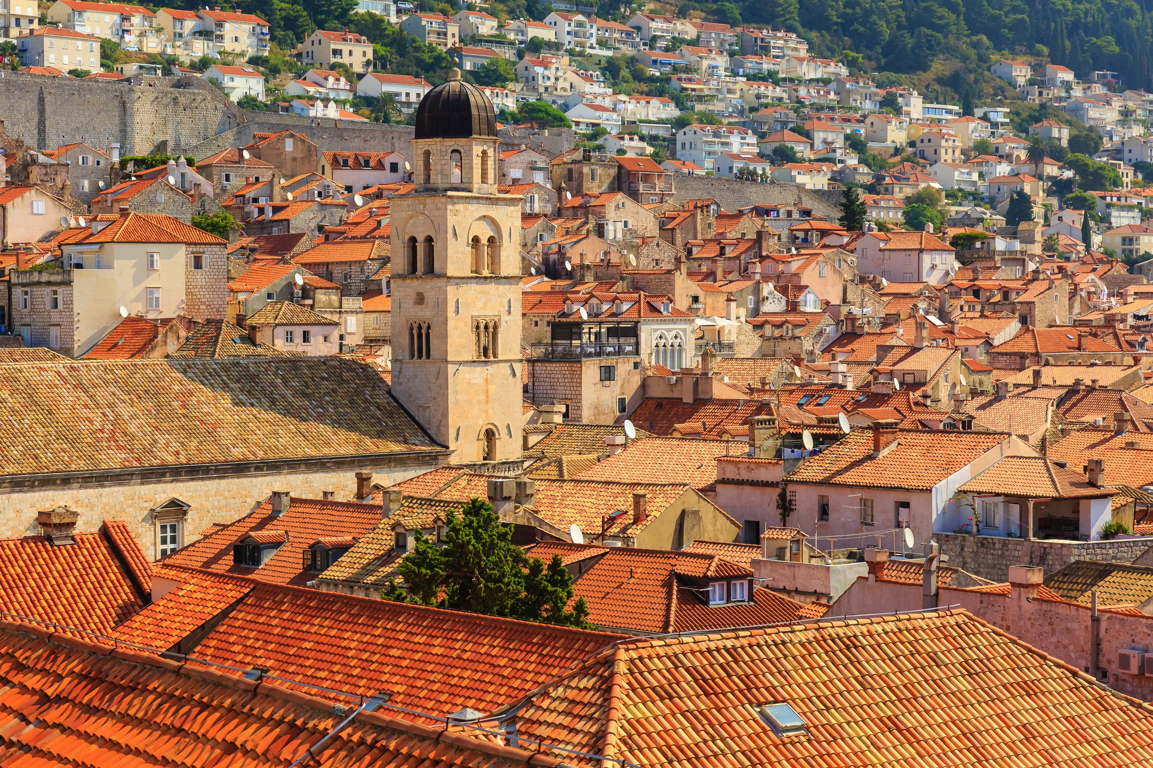 Hero Image Hero_Large RGB-LEX-Croatia Dalmatian 18336.jpg