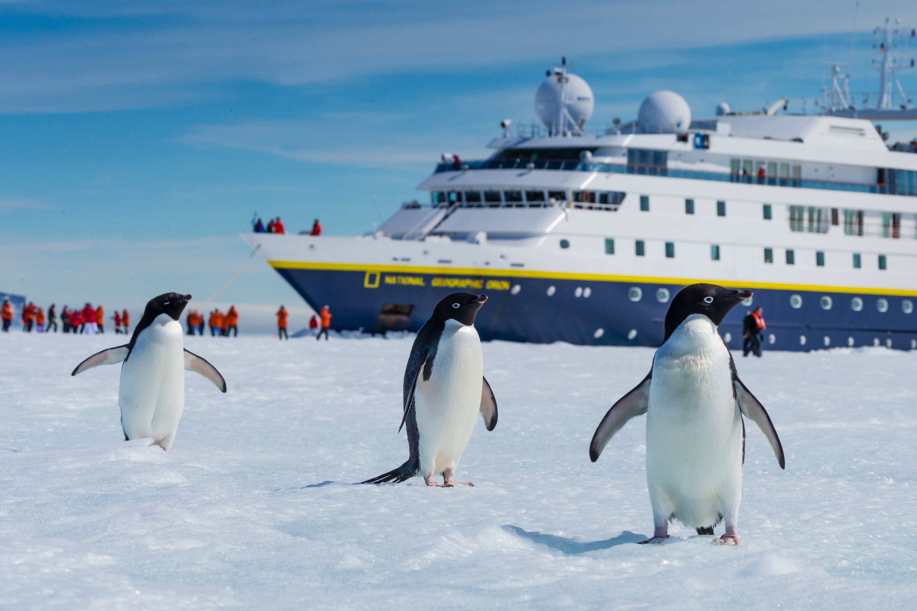 Hero Image Large RGB-LEX-Antarctica Active Sound RLH-ANT14-21029.jpg