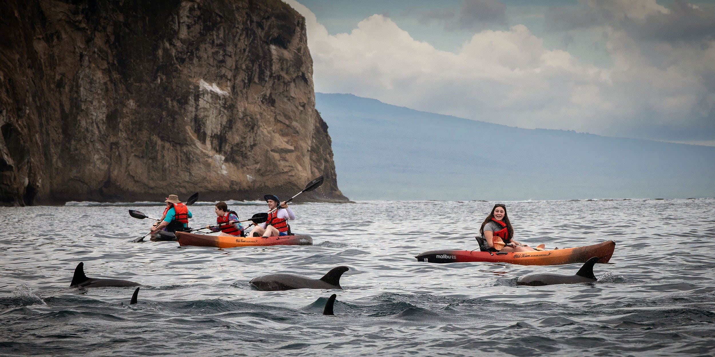 kayakers with dolphins