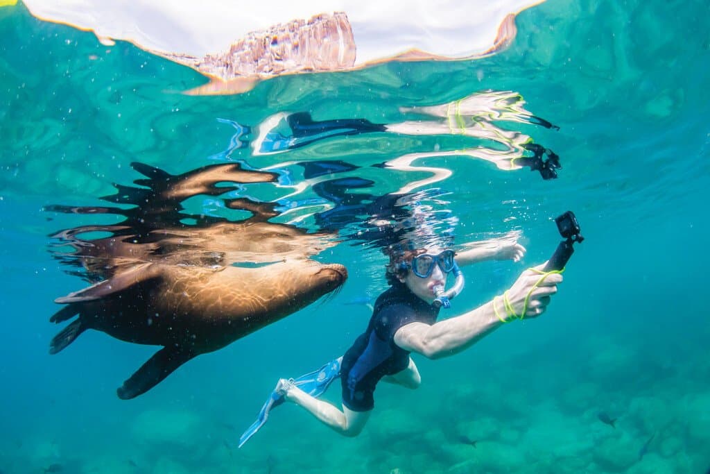 Medium RGB-LEX-Mexico Baja California Sur BM787.jpg