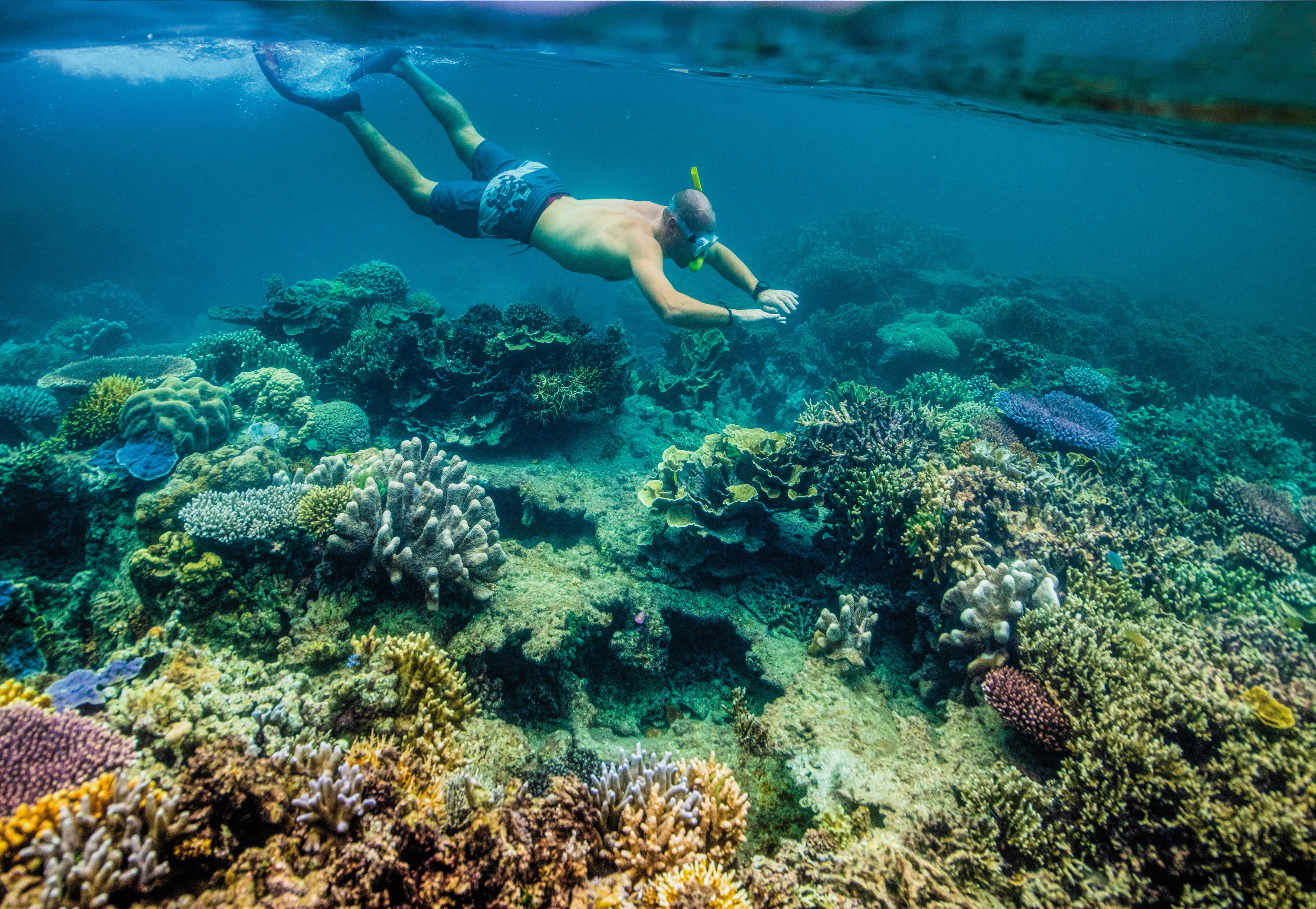 Large RGB-Lindblad Expeditions-Indonesia 540_2.jpg