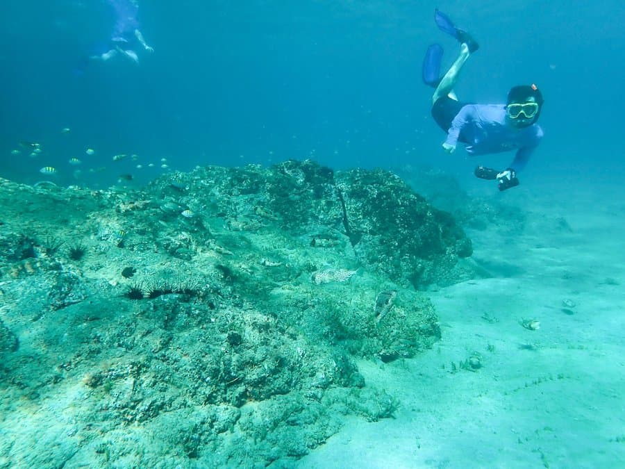 Hero Image Snorkeling Costa Rica.jpg