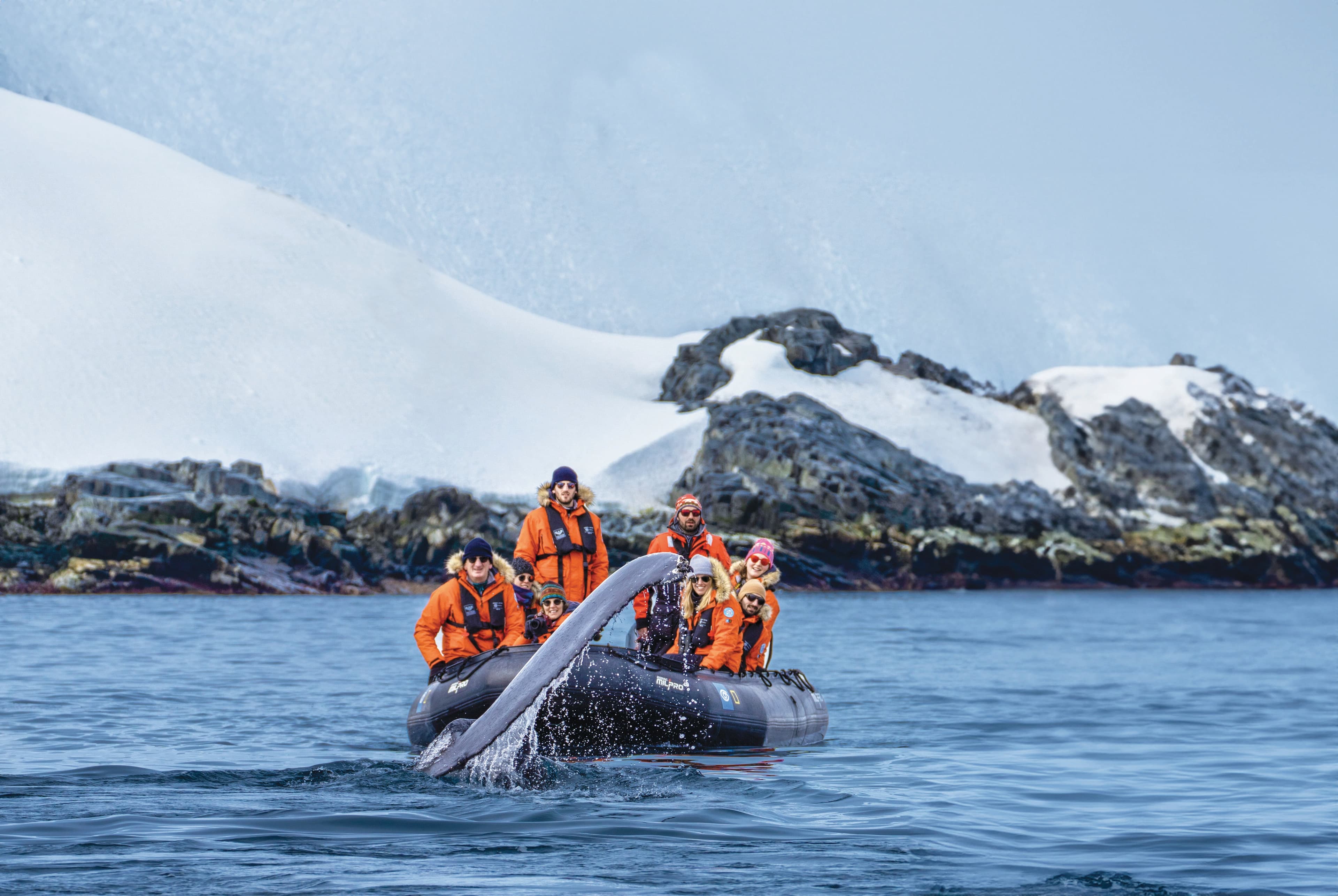 Large RGB-LEX-Antarctica Spert Island TP-154.jpg