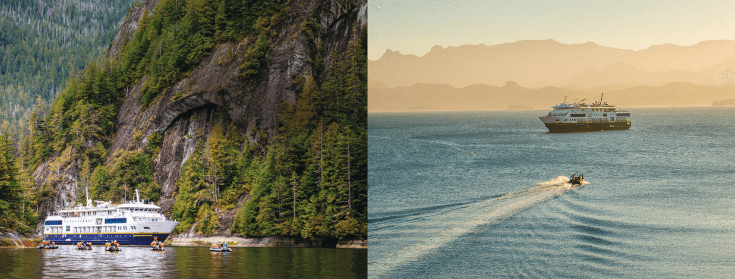 Hero Image bearwhale.png