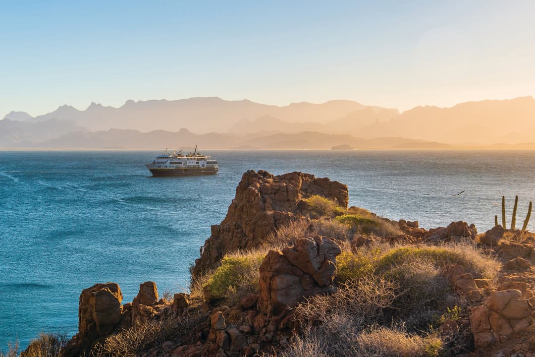 8 Reasons to Experience Baja California with National Geographic-Lindblad Expeditions - Article