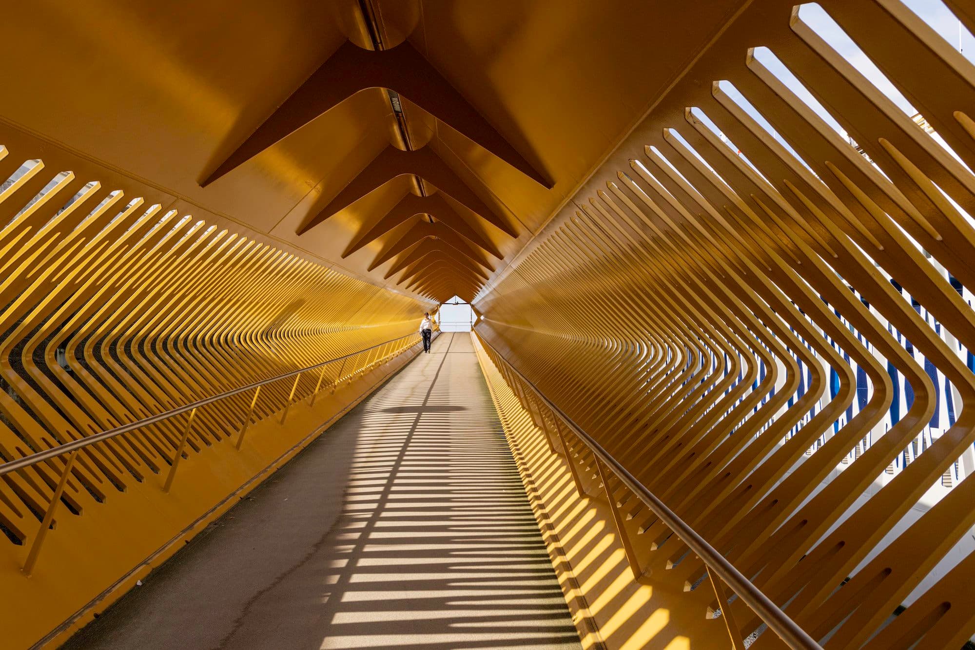 Hero Image Antwerp-2.jpg