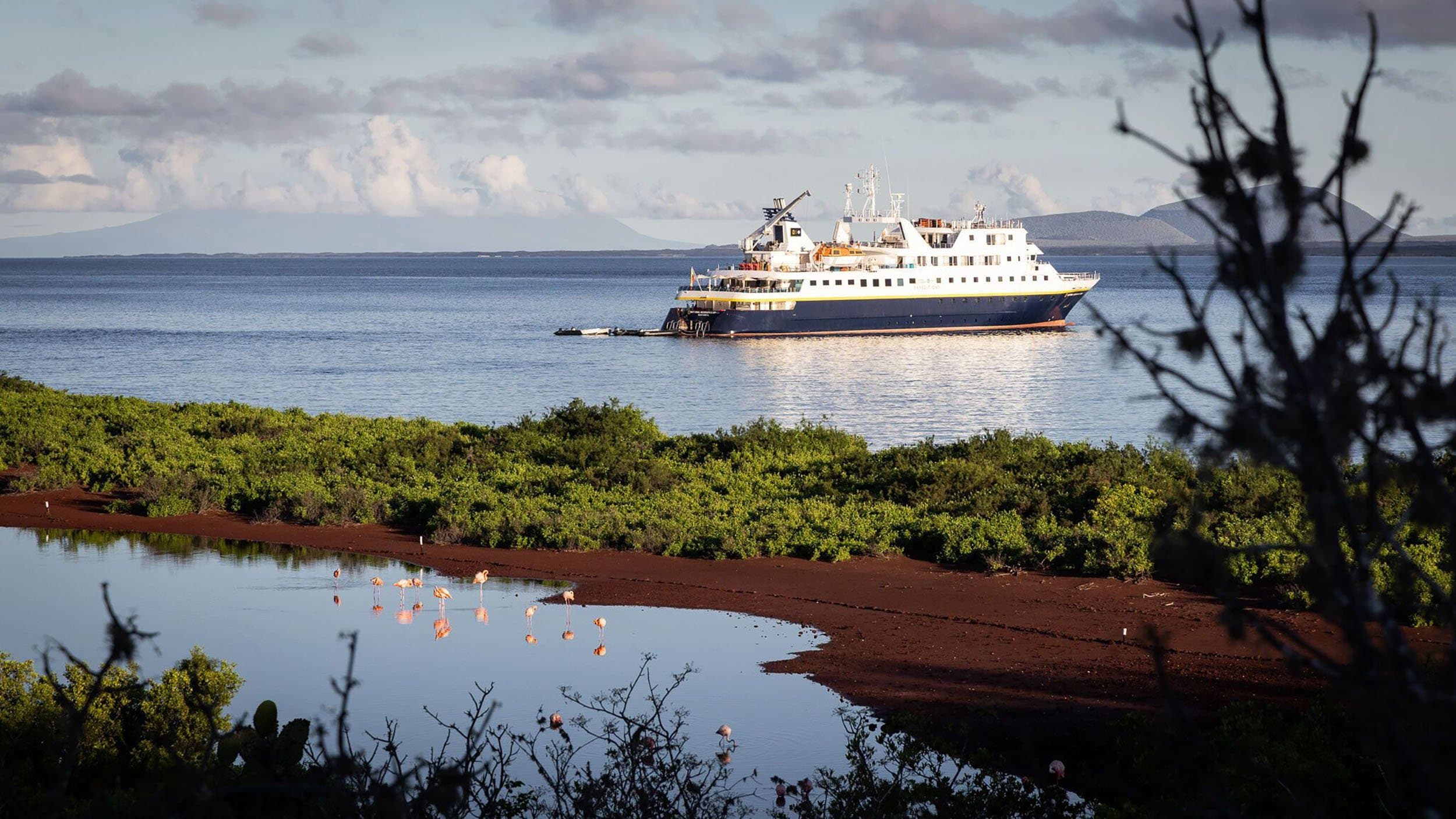 flamingos on a red sand beach with a ship in the background