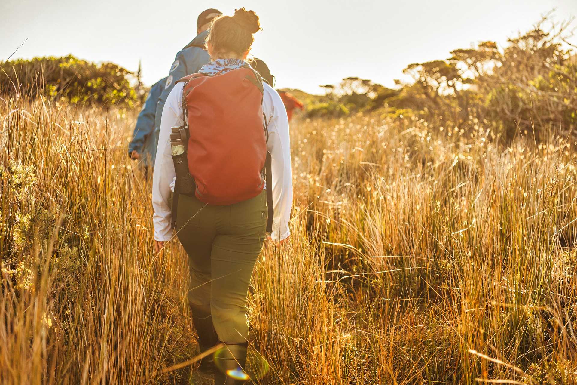 A man and a woman hike through the tall, yellow pampas of Isla de los Estados, Tierra del Fuego.