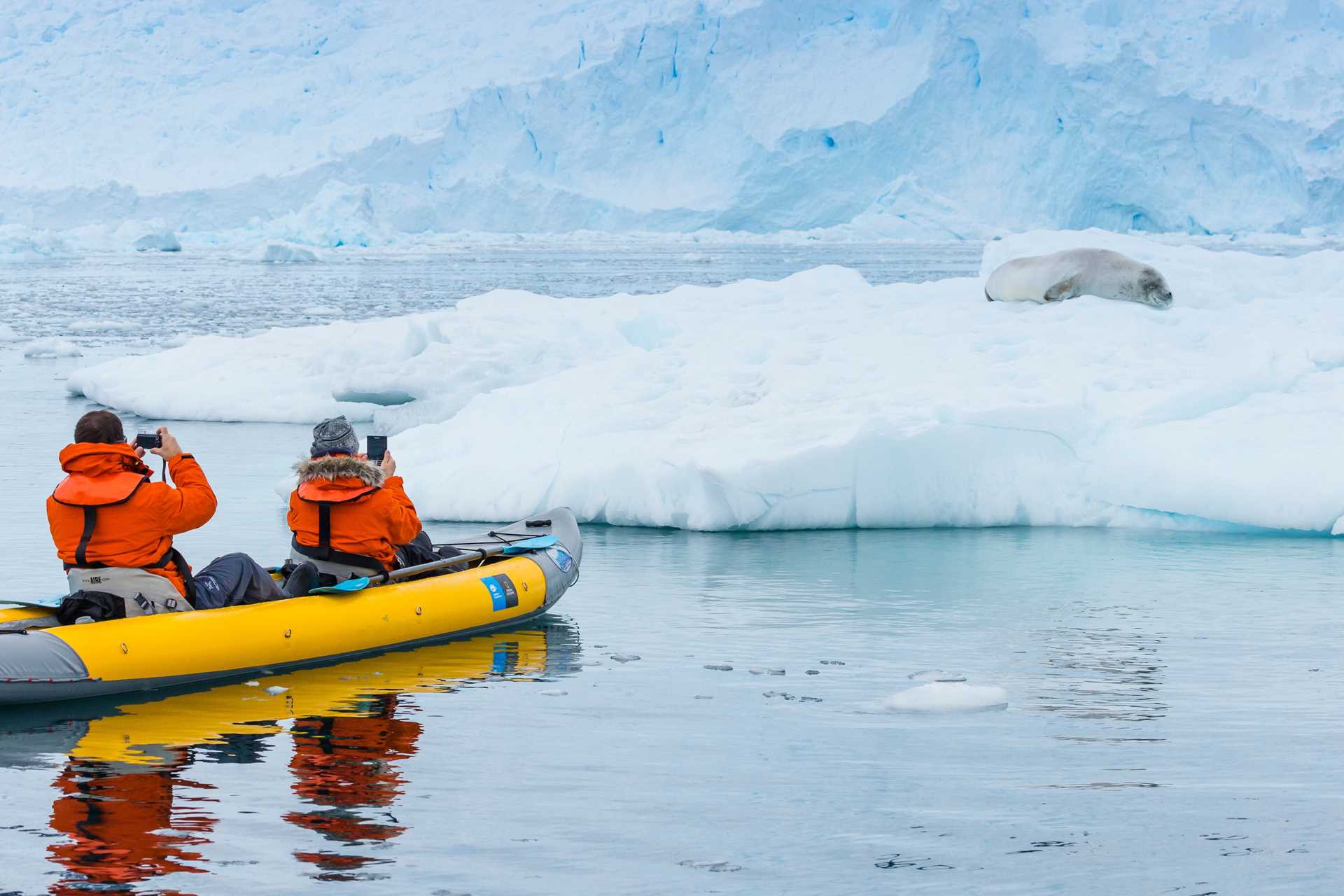 Kayakers photograph a crabeater seal on an ice floe.