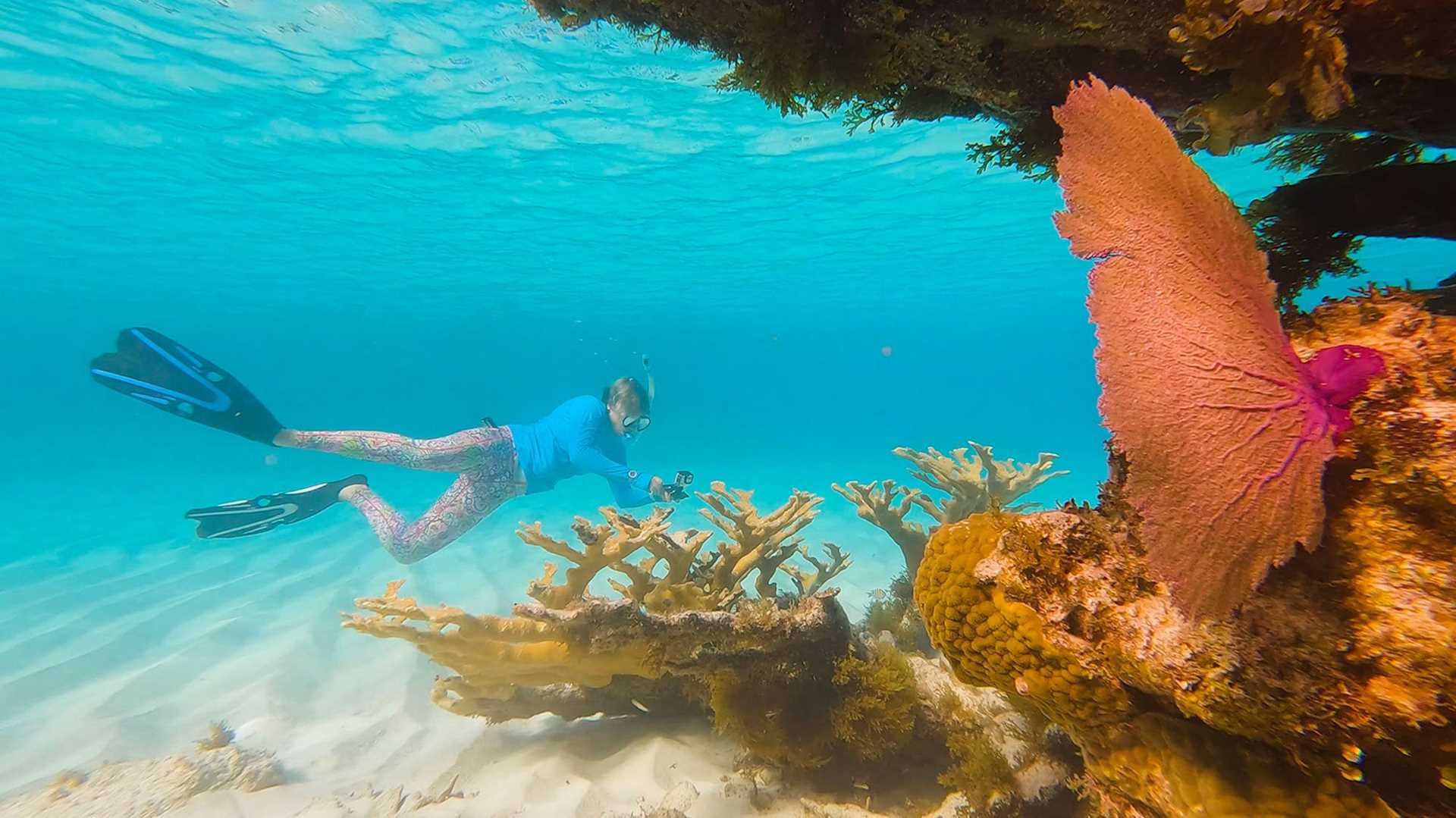 diver exploring reef