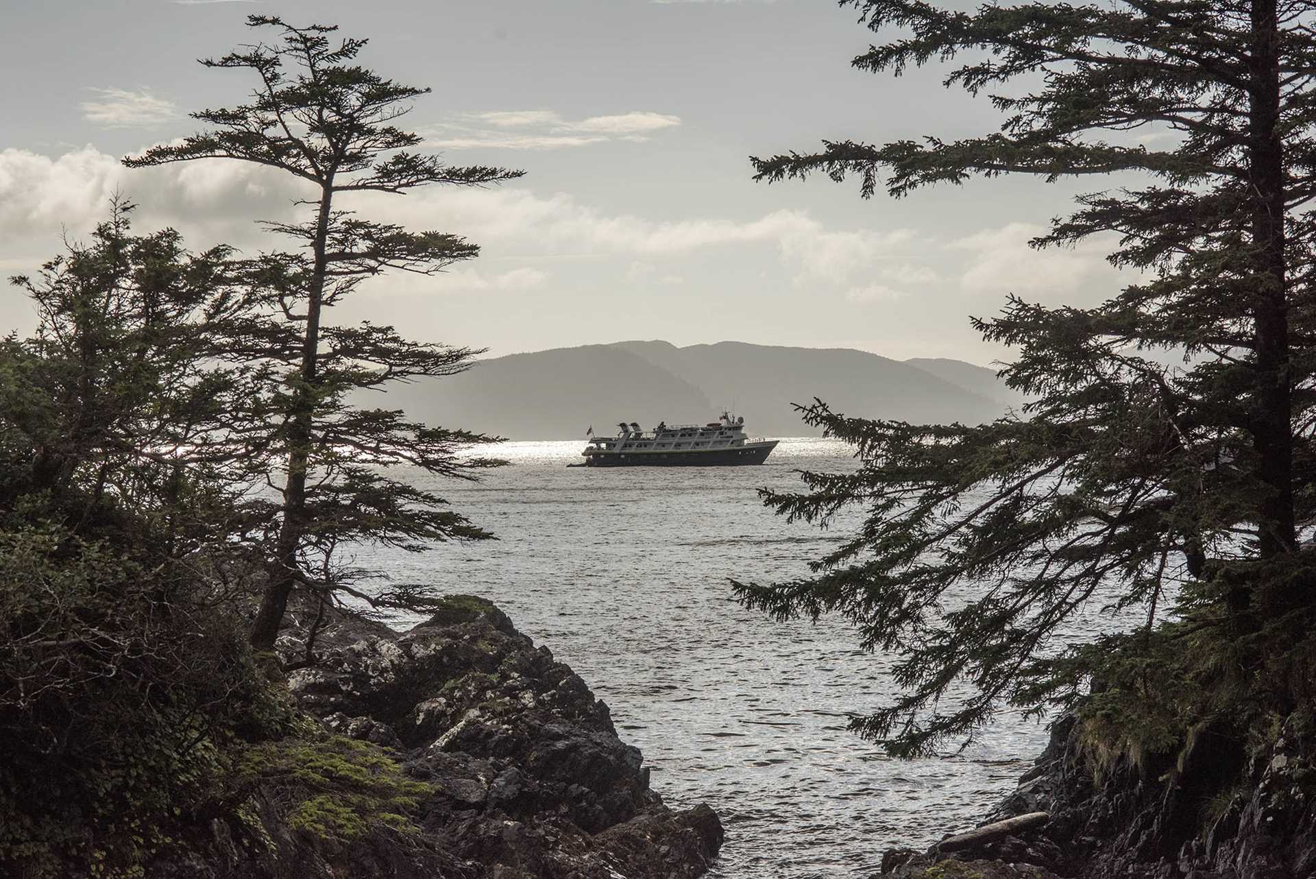 landscape with national geographic sea lion ship in background