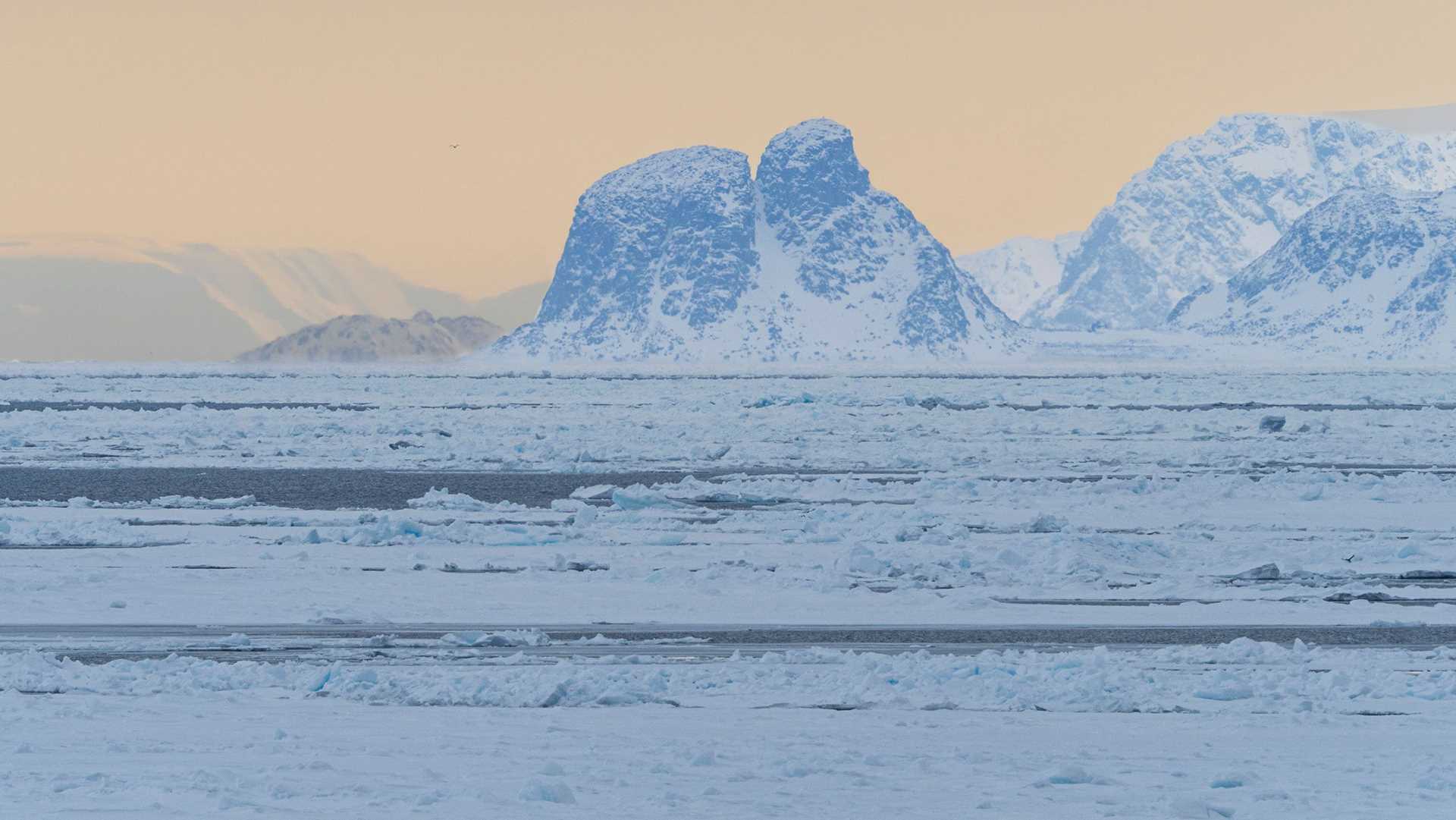 a pink sunset over arctic ice