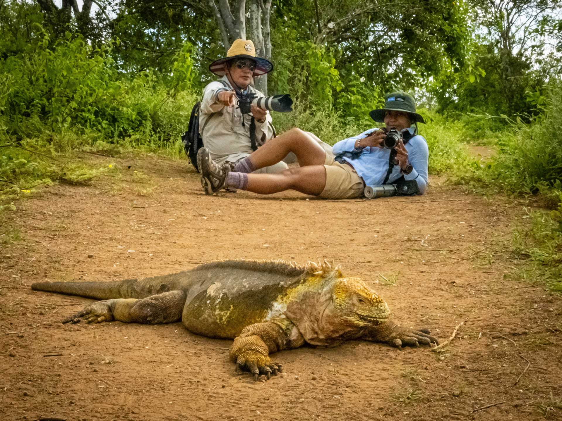 A certified photography instructors lays on the ground with a guest and helps him capture a photo of an iguana.