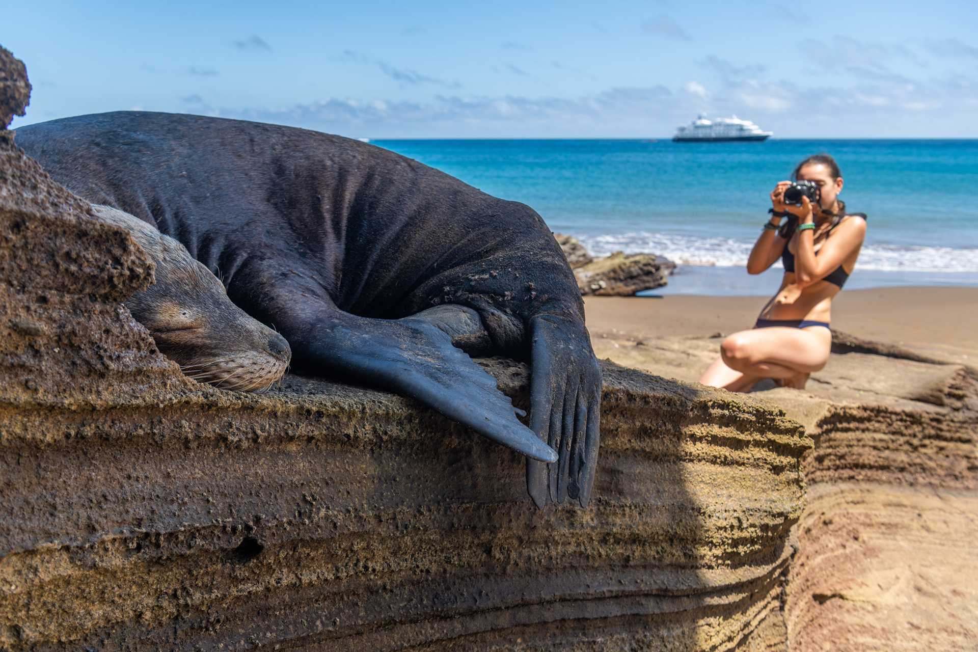 A female traveler photographs a fur seal lounging on Punta Pitt, San Cristobal Island.