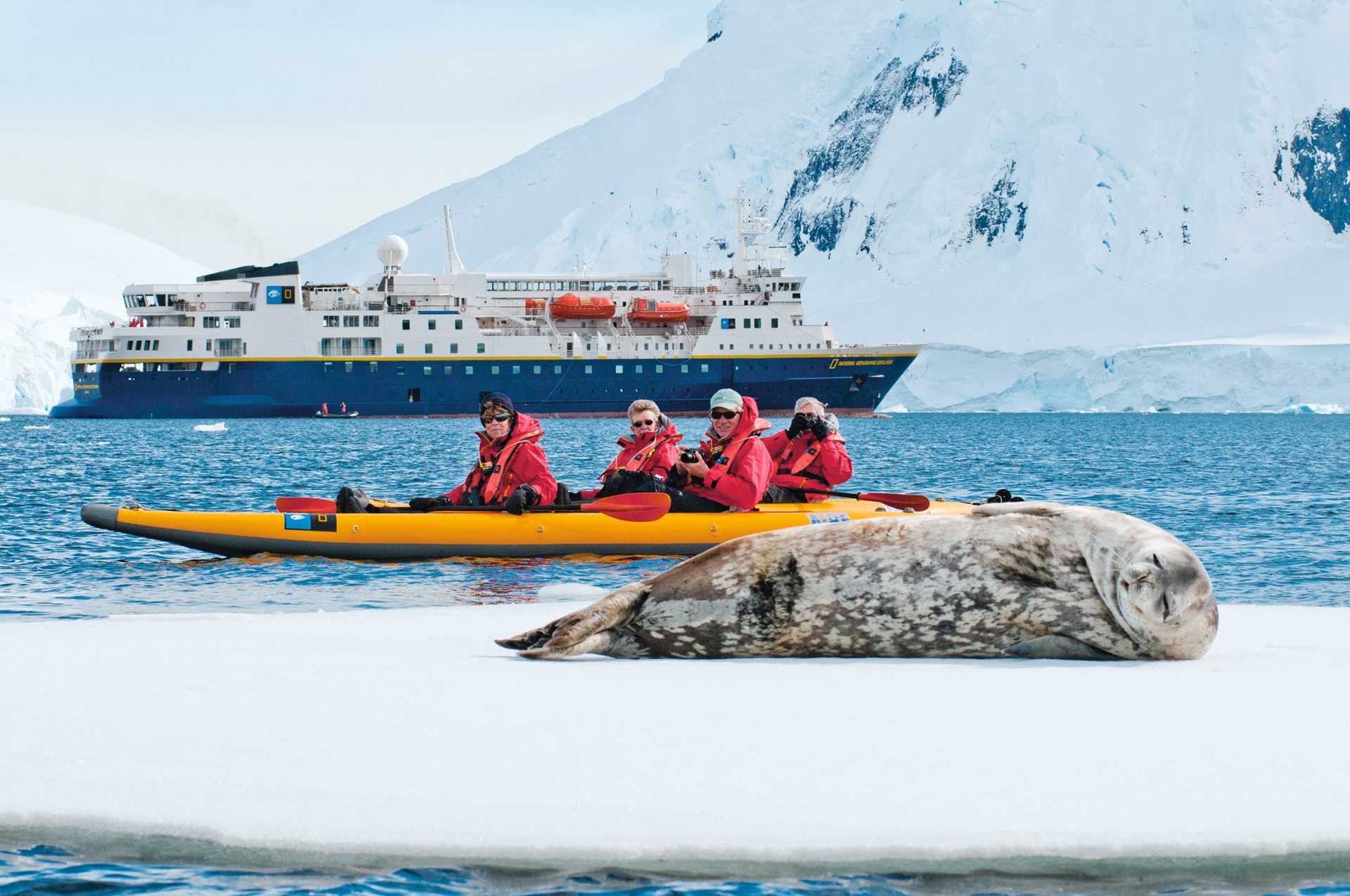 Four travelers in red parkas in a kayak observe a Weddell seal on an ice floe.