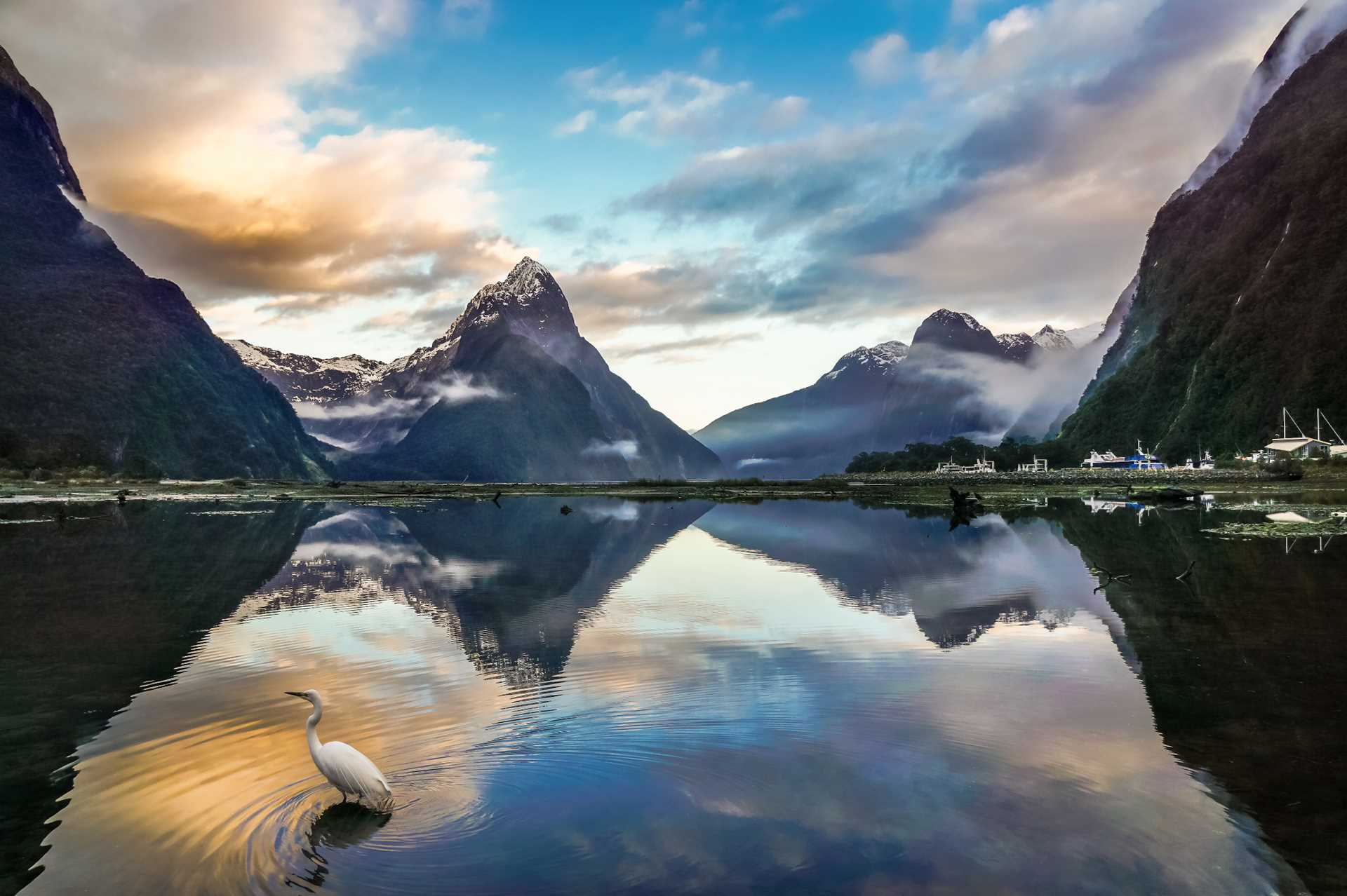 Milford Sound Reflection.jpg