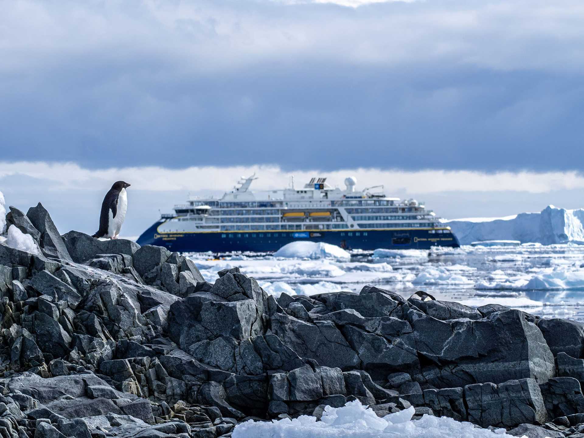 penguin on rock in front of National Geographic Endurance