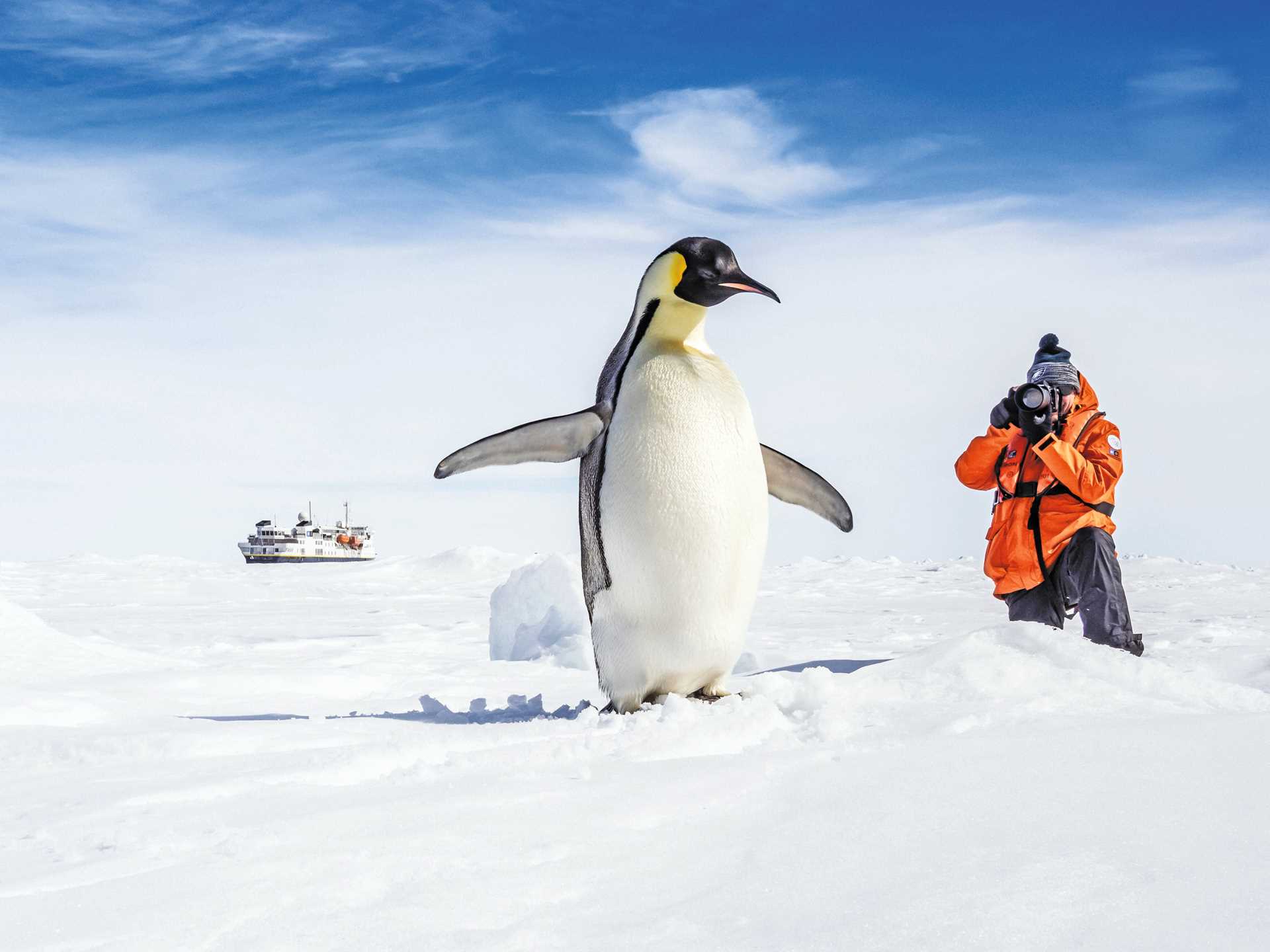 A traveler photographs an emperor penguin on a snowy landscape.