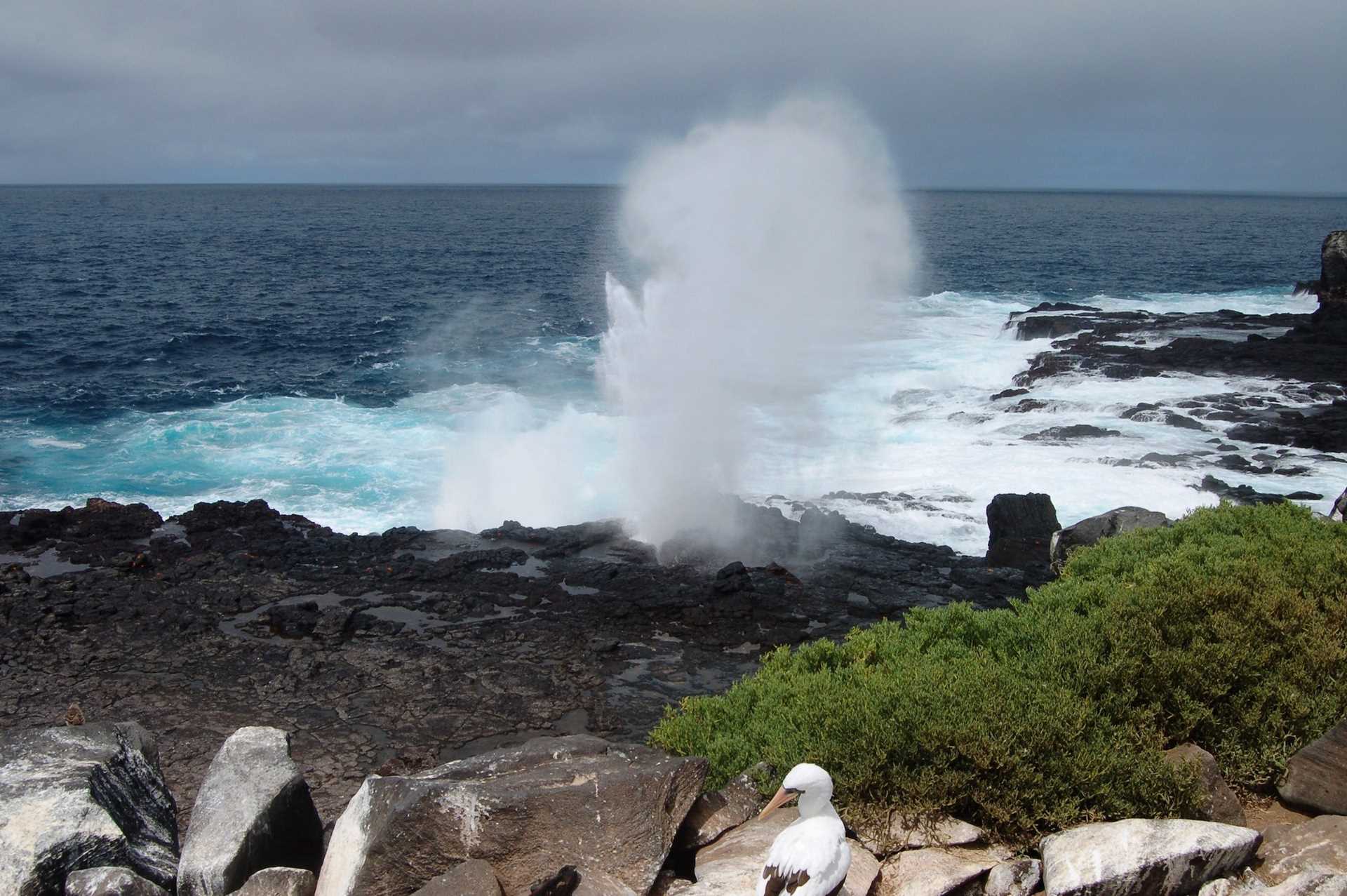 Sea Geyser Espanola Island.jpg