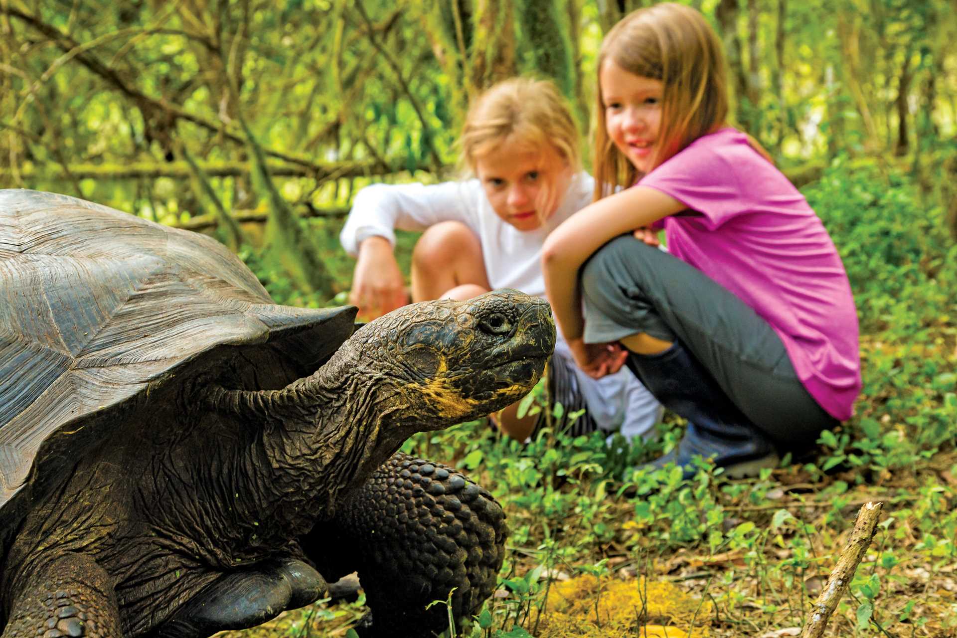 Two young girls observe a giant Galápagos tortoise on Santa Cruz Island.